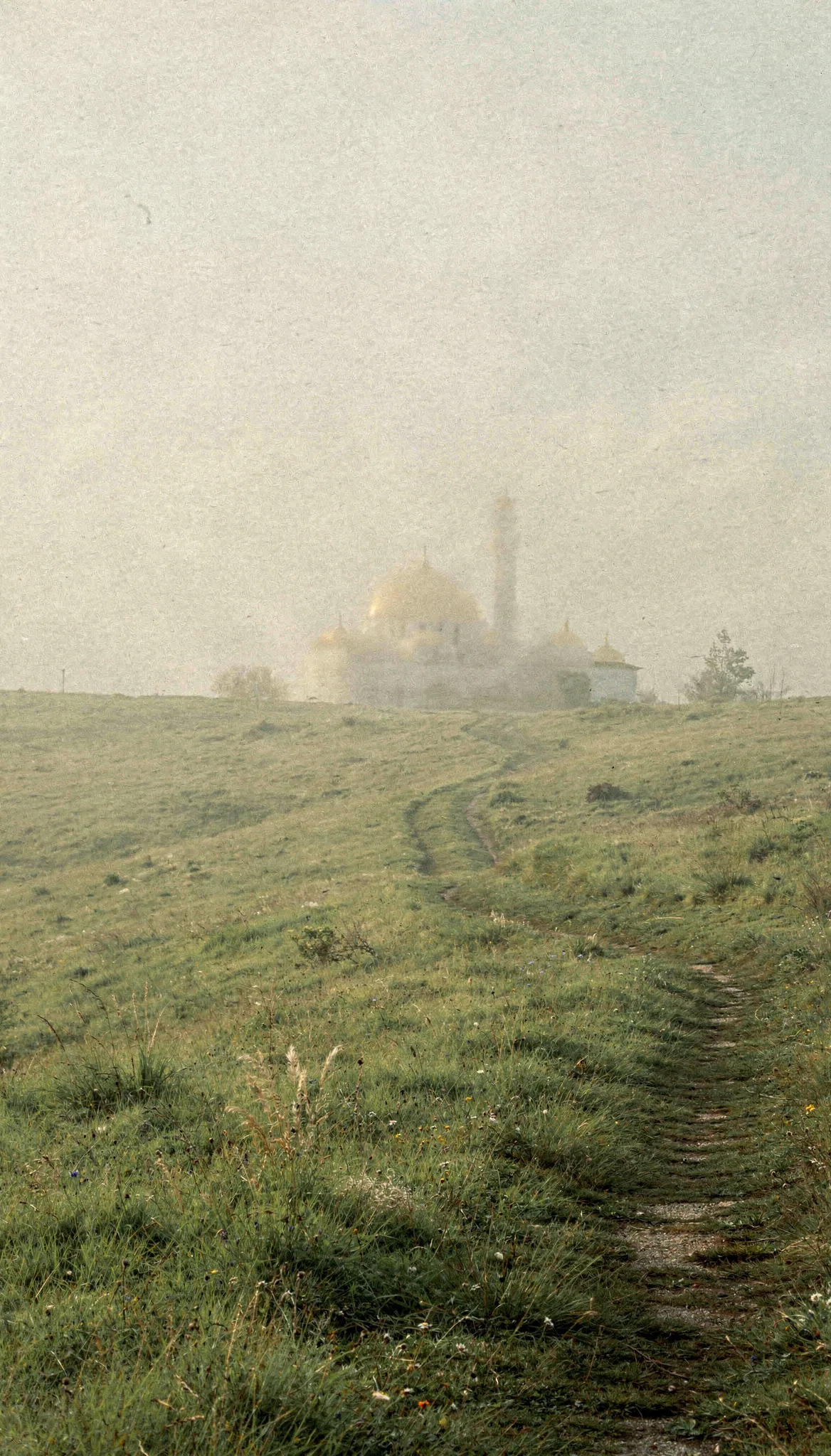 Más de 500 mezquitas en el mapa