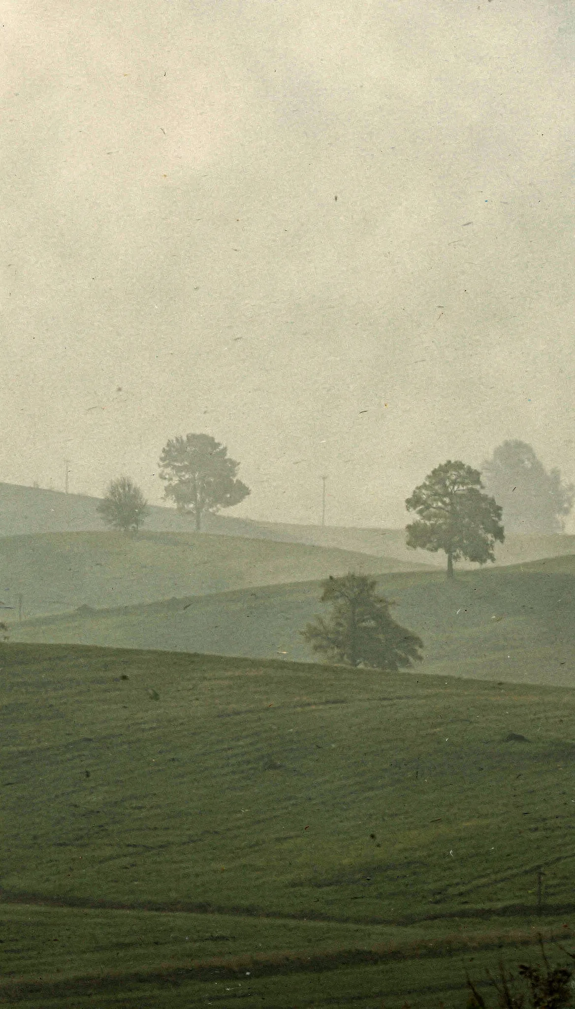 Contribuye y ayuda a tu comunidad