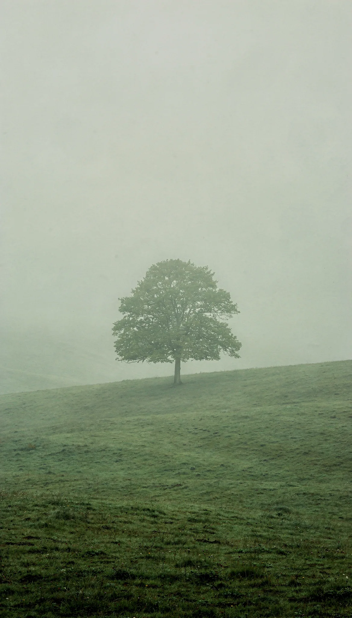 Encuentra tu mezquita en segundos